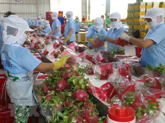 Trung Quốc chi gần 1 tỷ USD mua rau quả Việt Nam - Ảnh 1.