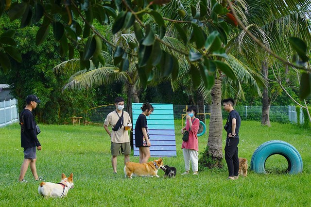 Công viên đầu tiên dành cho thú cưng tại Hà Nội - Ảnh 4.