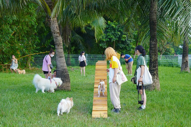 Công viên đầu tiên dành cho thú cưng tại Hà Nội - Ảnh 6.