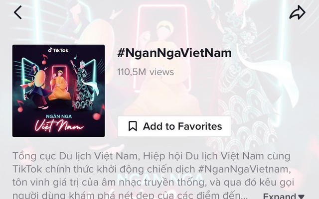 Chiến dịch quảng bá du lịch #NganNgaVietNam đạt cột mốc 110 triệu lượt xem - Ảnh 1.