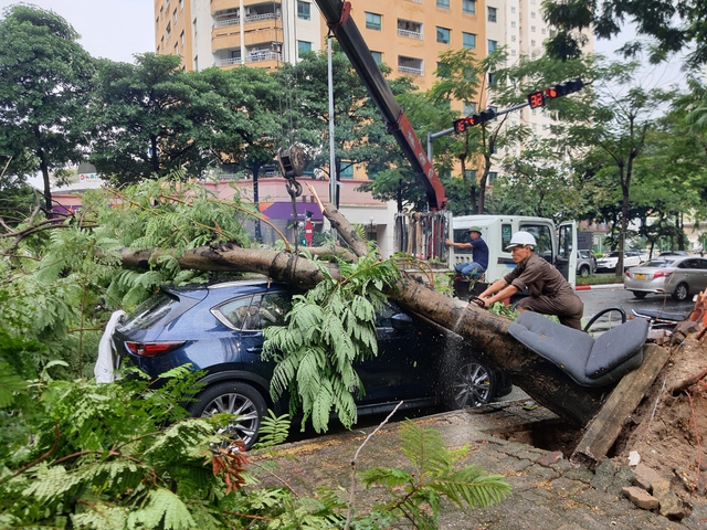 Hà Nội: Cơn mưa lớn khiến nhiều cây bị bật gốc, ngập úng một số tuyến phố - Ảnh 1.