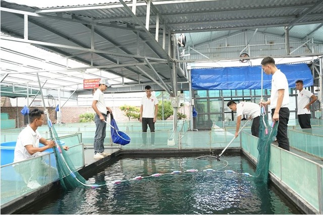 Khởi nghiệp thành công từ mô hình nuôi cá kiểng  Hội Nông dân tỉnh Bến Tre