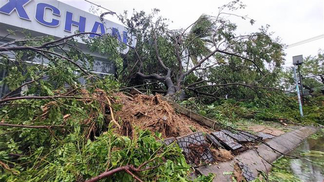 Quảng Nam: Người dân bắt đầu dọn dẹp, khắc phục hậu quả bão số 4 - Ảnh 1.