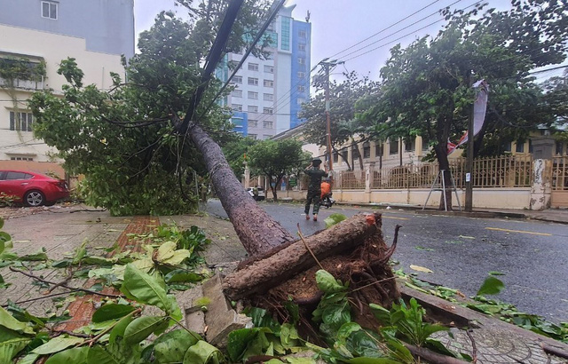 Cây xanh ngã đổ ngổn ngang trên đường phố Đà Nẵng sau khi bão số 4 đổ bộ  - Ảnh 2.