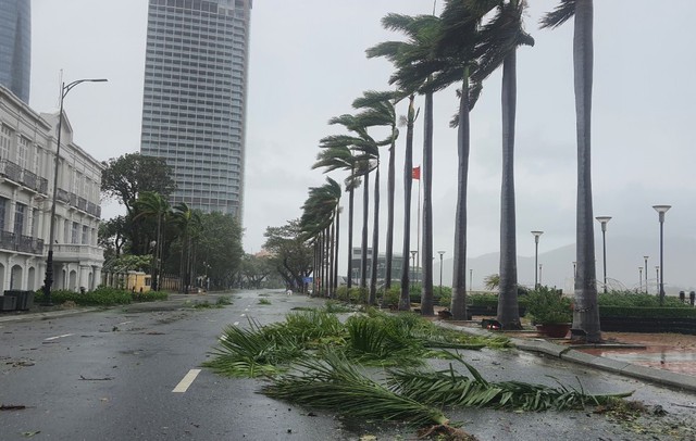 Cây xanh ngã đổ ngổn ngang trên đường phố Đà Nẵng sau khi bão số 4 đổ bộ  - Ảnh 1.