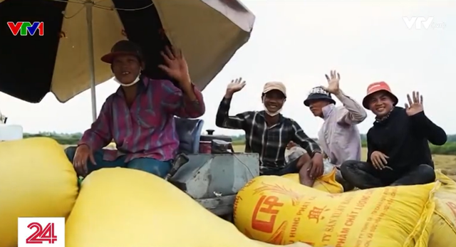 Vượt qua Thái Lan, giá gạo Việt Nam dẫn đầu thế giới - Ảnh 1.