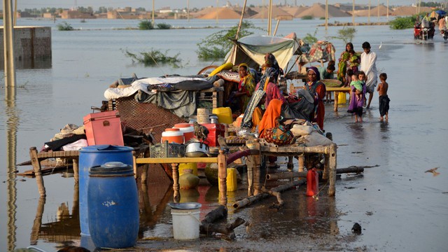 LHQ kêu gọi hỗ trợ Pakistan khắc phục hậu quả lũ lụt - Ảnh 1.
