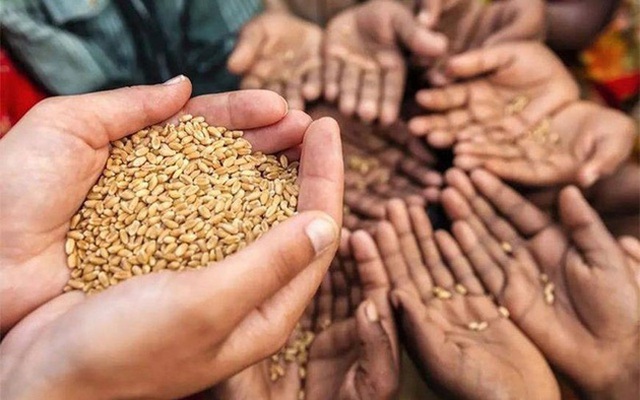 Ấn Độ thay đổi tư duy về an ninh lương thực - Ảnh 1.
