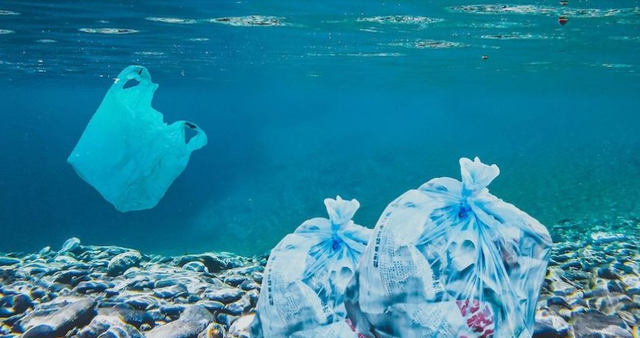 Nhựa chiếm 80% rác thải trong môi trường biển Địa Trung Hải - Ảnh 1.
