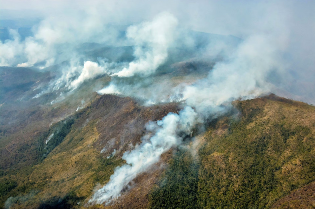 Cháy rừng nghiêm trọng tiếp tục hoành hành ở miền Đông Cuba - Ảnh 1.