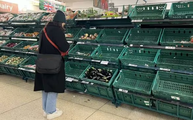 Siêu thị Anh phân phối rau xanh, người dân đổ lỗi cho Brexit về tình trạng thiếu hụt - Ảnh 1.
