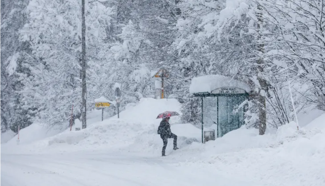 Bão tuyết gây gián đoạn giao thông và mất điện tại Czech và Slovakia  - Ảnh 3.