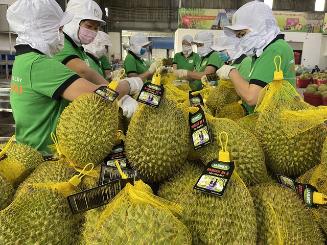 Thách thức xây dựng thương hiệu trái cây Việt tại Trung Quốc - Ảnh 1.
