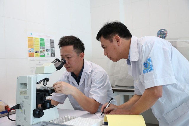 Hơn 120 người ở một thôn ở Hà Tĩnh bị viêm da tiếp xúc do bọ chét - Ảnh 1.