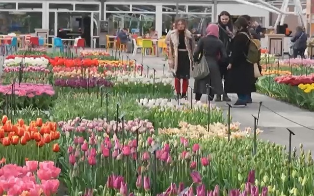 Vườn hoa lớn nhất thế giới tại Hà Lan mở cửa đón khách - Ảnh 2.
