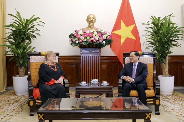 Việt Nam luôn coi trọng quan hệ Đối tác toàn diện với Chile - Ảnh 1.