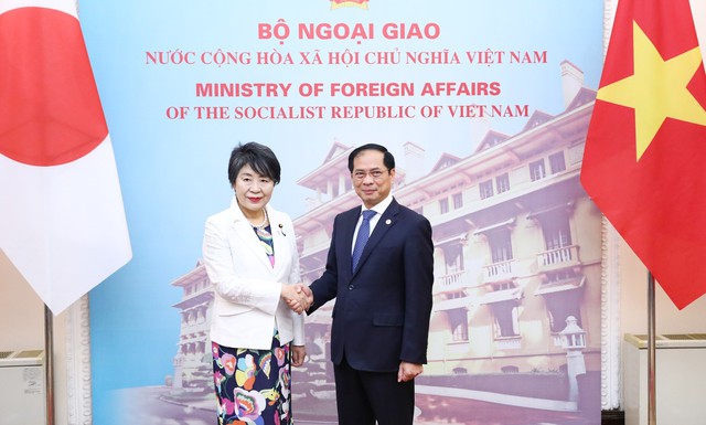 Thúc đẩy quan hệ Việt Nam - Nhật Bản - Ảnh 1.