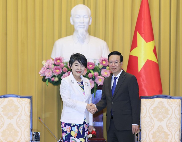 Nhật Bản mong muốn mở rộng hợp tác với Việt Nam về chuyển đổi số, chuyển đổi xanh - Ảnh 1.