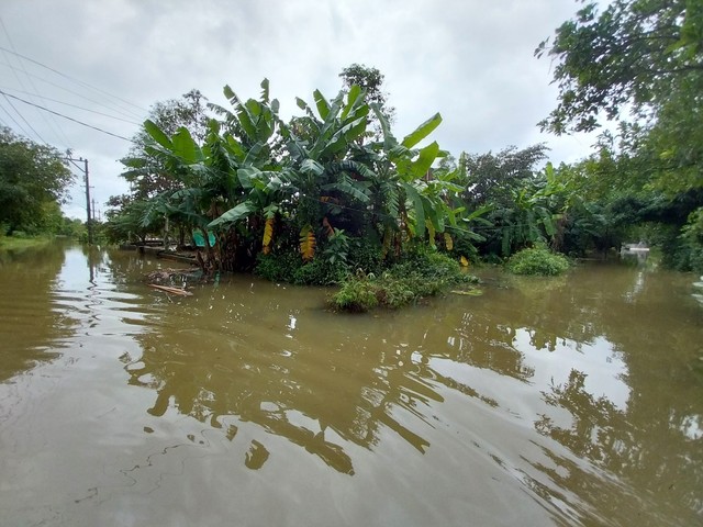 Thừa Thiên – Huế: Nâng cấp cảnh báo rủi ro thiên tai do mưa lớn, lốc sét - Ảnh 2.