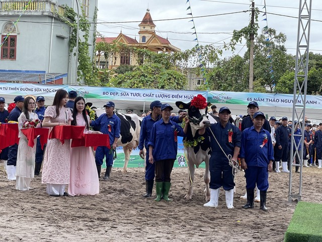 Du khách thích thú với Hội thi Hoa hậu bò sữa Mộc Châu 2023 - Ảnh 5.