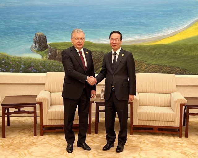Chủ tịch nước Võ Văn Thưởng gặp Tổng thống Uzbekistan - Ảnh 1.
