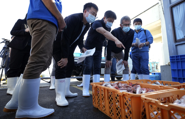 IAEA lấy mẫu nước biển và cá ở Fukushima - Ảnh 2.