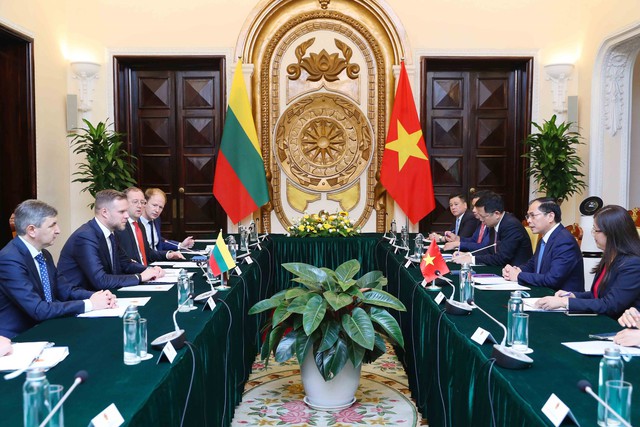 Đẩy mạnh quan hệ hợp tác Việt Nam - Lithuania - Ảnh 2.