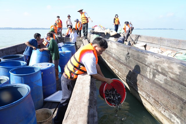 Tây Ninh: Gần 250.000 tôm, cá giống được thả để bảo vệ nguồn lợi thủy sản hồ Dầu Tiếng - Ảnh 1.