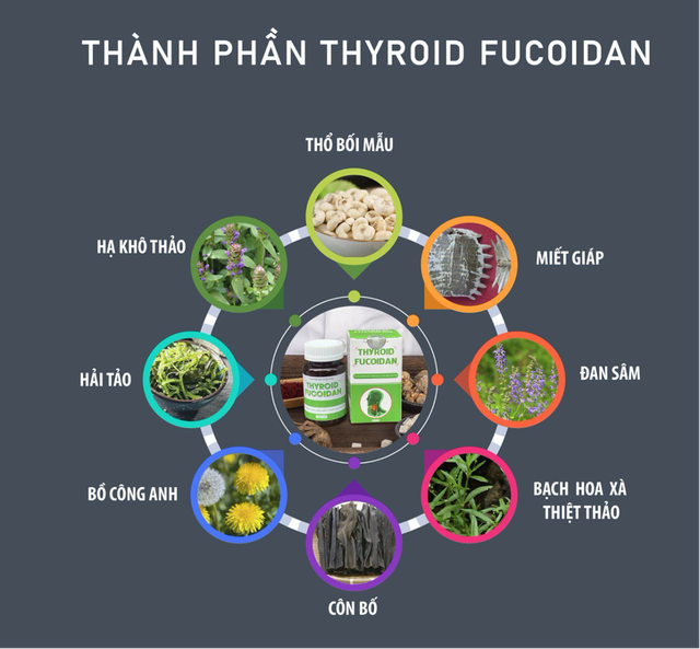 Thực phẩm bảo vệ sức khỏe Thyroid Fucoidan - Trợ thủ đắc lực cho người bị u tuyến giáp - Ảnh 3.