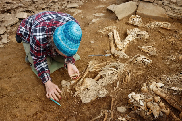 Khai quật hầm mộ 5.000 năm tuổi gồm hàng chục bộ xương người tiền sử tại Scotland - Ảnh 1.