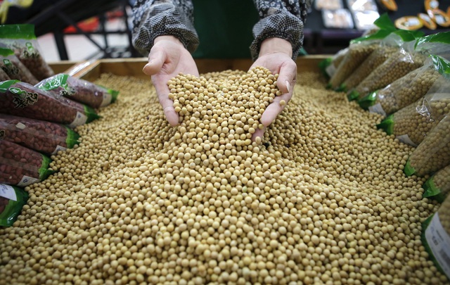 Trung Quốc tăng mạnh mua đậu tương từ Mỹ - Ảnh 1.