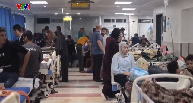 Israel cung cấp lồng ấp cho trẻ sơ sinh ở Gaza - Ảnh 1.