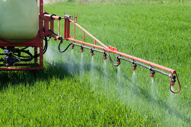 EU gia hạn 10 năm thời gian sử dụng thuốc diệt cỏ glyphosate - Ảnh 1.