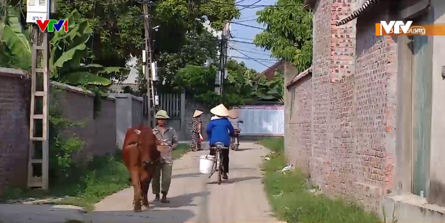 Phong trào hiến đất mở đường giao thông nông thôn ở Việt Yên, Bắc Giang - Ảnh 4.