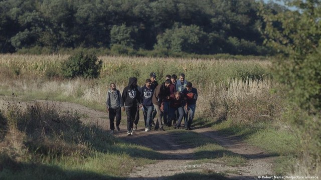 Slovakia ghi nhận lượng người di cư vượt biên từ Hungary tới khu vực biên giới giảm - Ảnh 1.
