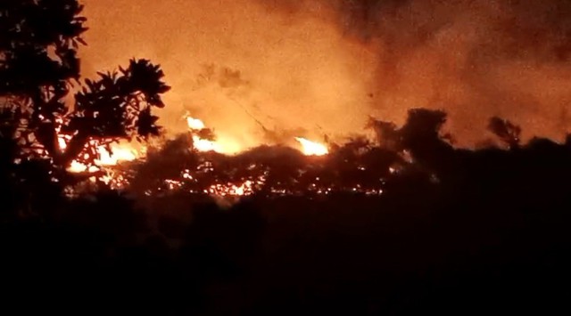 Dập tắt đám cháy rừng tại Yên Bái - Ảnh 2.