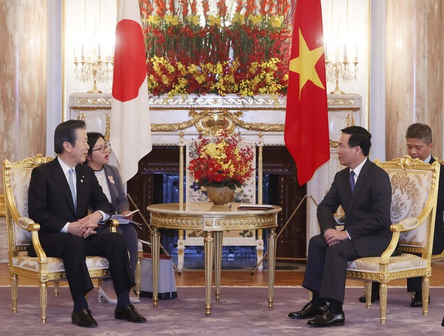 Sớm cụ thể hóa các nội dung hợp tác trên khuôn khổ quan hệ mới Việt Nam - Nhật Bản - Ảnh 2.