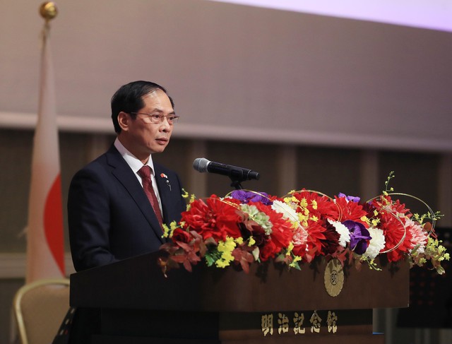 Việt Nam - Nhật Bản tổ chức Lễ kỷ niệm 50 năm thiết lập quan hệ ngoại giao - Ảnh 3.