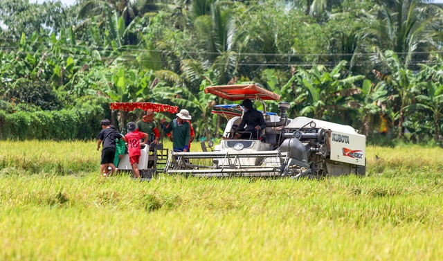 Giá tăng cao, gạo Việt khẳng định chỗ đứng trên thế giới - Ảnh 1.