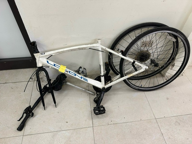 Dùng ô tô hạng sang của bạn gái trộm xe đạp trong chung cư ở Hà Nội - Ảnh 2.