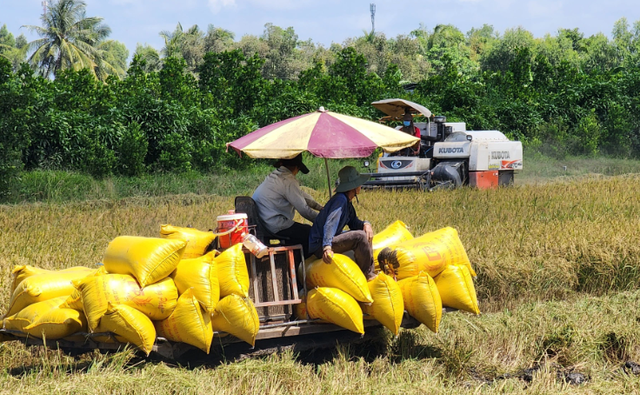 Cơ hội gia tăng giá trị gạo Việt - Ảnh 1.
