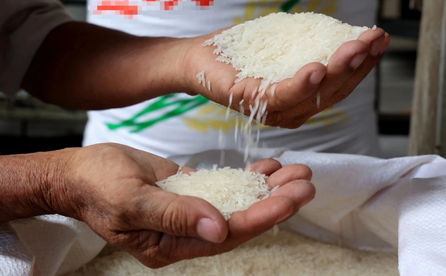 Xuất khẩu gạo 2024 tiếp tục khả quan nếu Ấn Độ duy trì hạn chế xuất khẩu - Ảnh 1.