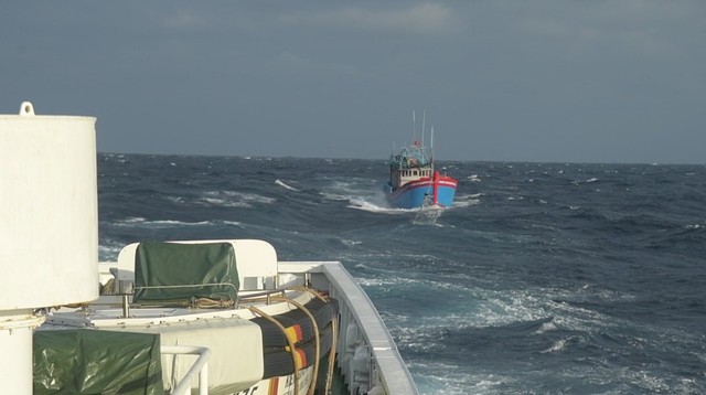 Cứu nạn tàu cá bị nạn trên biển trong điều kiện sóng to gió lớn - Ảnh 1.