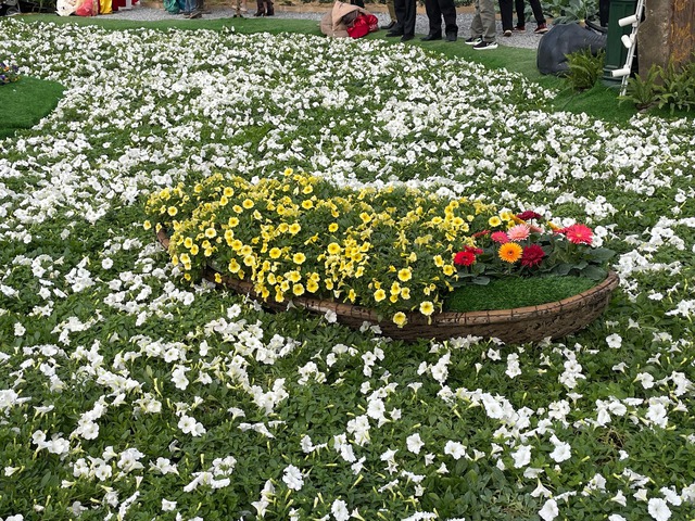 Lễ hội hoa Xuân Quan 2023 thu hút đông đảo du khách - Ảnh 2.