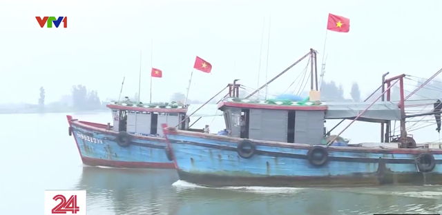 Thanh Hoá: Ngăn chặn khai thác hải sản bất hợp pháp - Ảnh 3.
