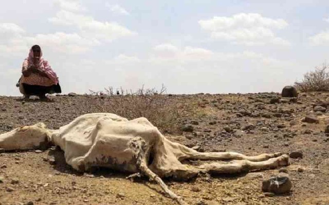Biến đổi khí hậu đứng sau hạn hán tàn khốc ở vùng Sừng châu Phi - Ảnh 1.