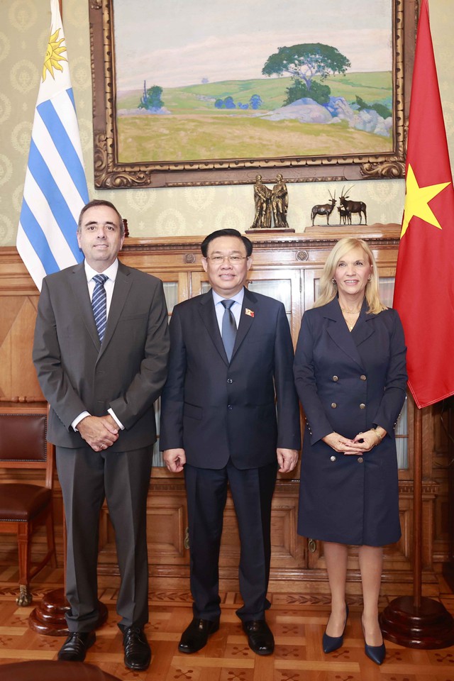 Chủ tịch Quốc hội Vương Đình Huệ hội đàm với Chủ tịch Thượng viện và Hạ viện Uruguay - Ảnh 3.