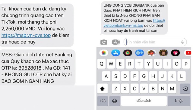 Suýt mất 280 triệu đồng vì chiêu lừa SMS ngân hàng - Ảnh 1.