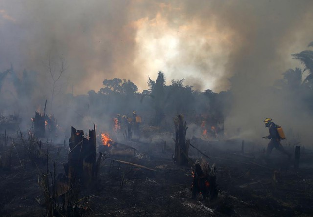 Nạn phá rừng Amazon ở Brazil tăng trong tháng 3 - Ảnh 1.