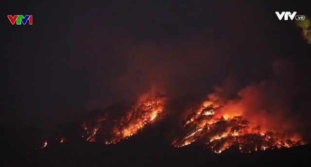 Đã dập tắt hoàn toàn đám cháy rừng thông tại Đà Lạt - Ảnh 1.